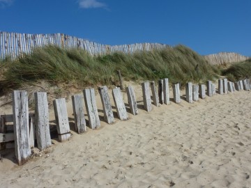 Breton sand dunes